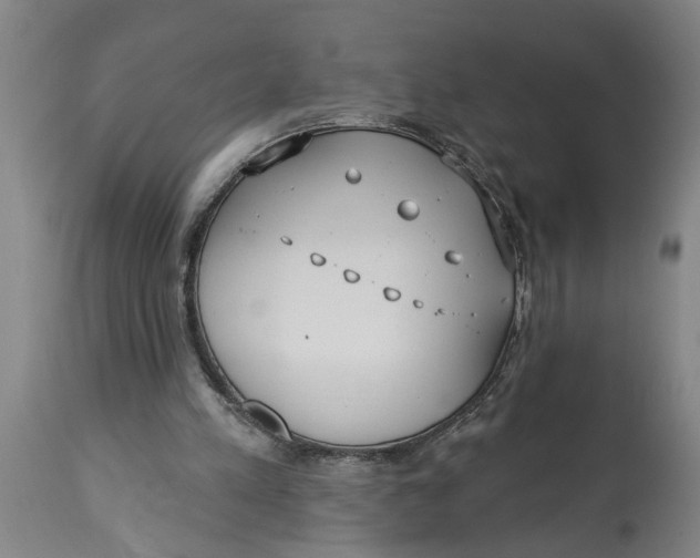 X0000114550197200911091203