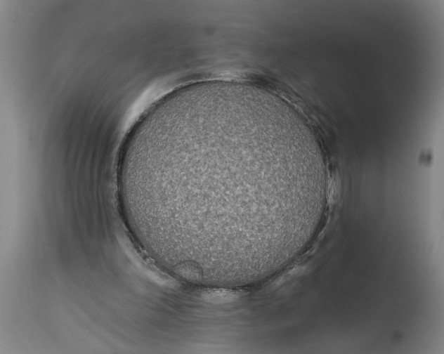 X0000114550198200911091203