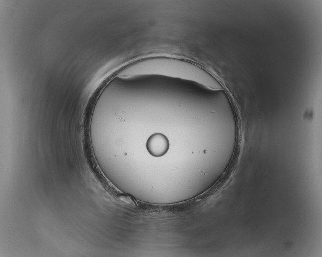X0000114550199200911091203