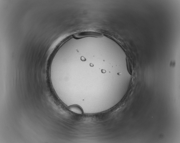 X0000114550200200911091203