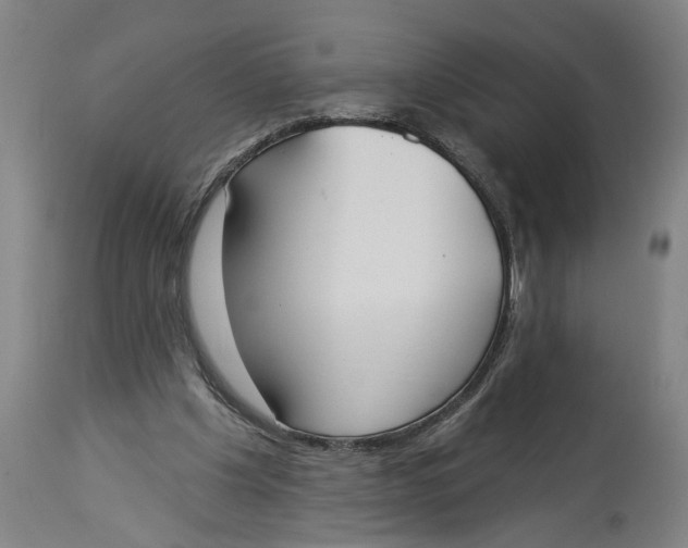X0000114550201200911091203