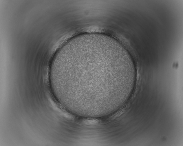 X0000114550202200911091203
