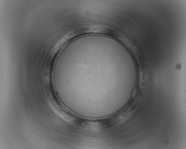 X0000114550203200911091203