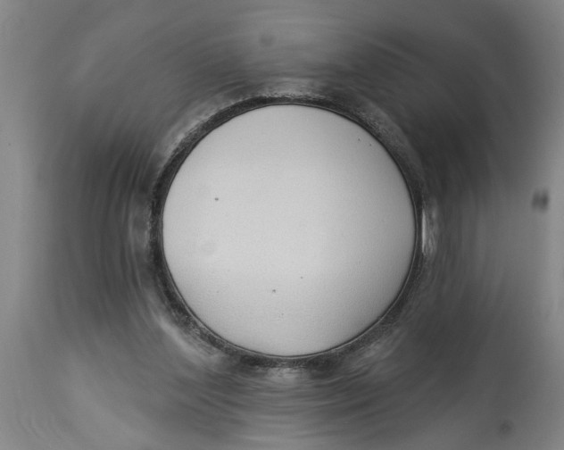 X0000114550204200911091203