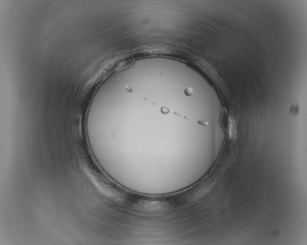 X0000114550205200911091203