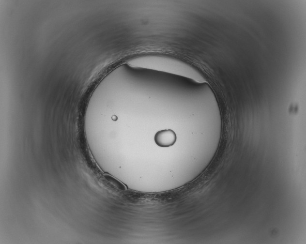 X0000114550207200911091203