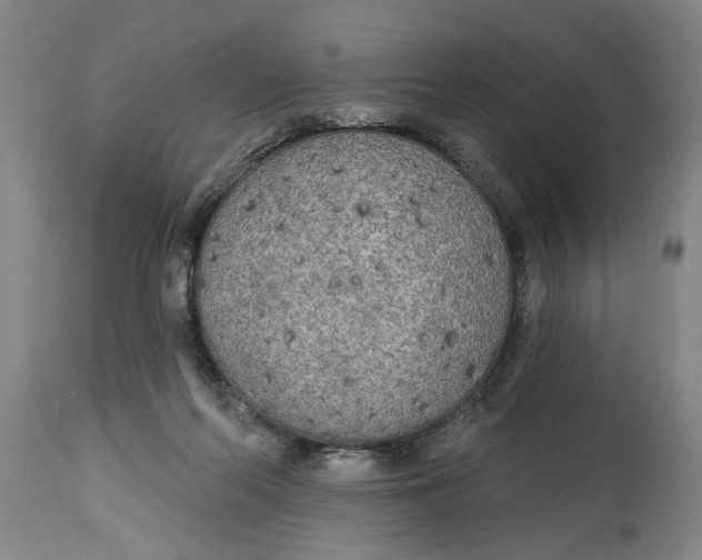 X0000114550214200911091203