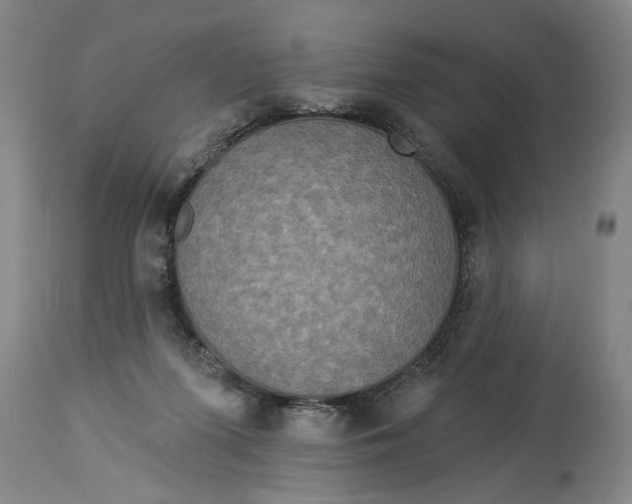 X0000114550215200911091203