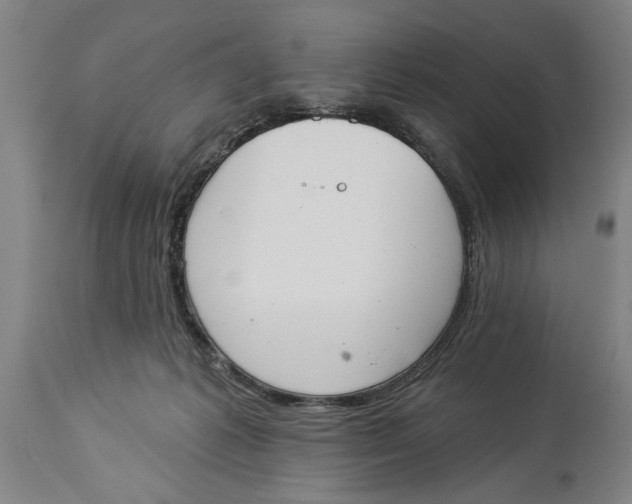 X0000114550221200911091203