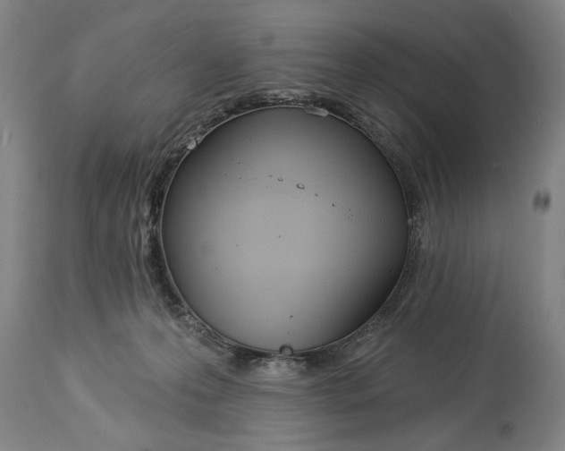 X0000114550223200911091203