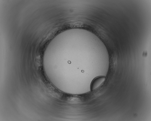 X0000114550224200911091203