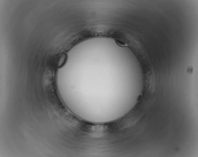 X0000114550225200911091203