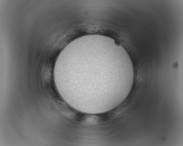 X0000114550226200911091203