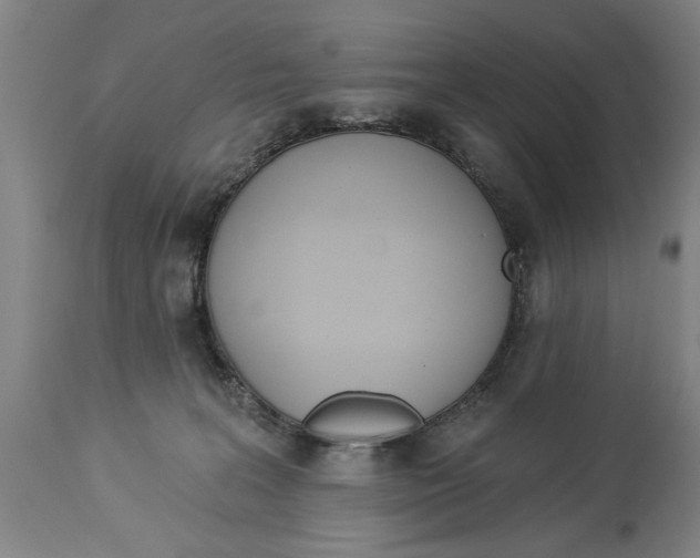 X0000114550227200911091203