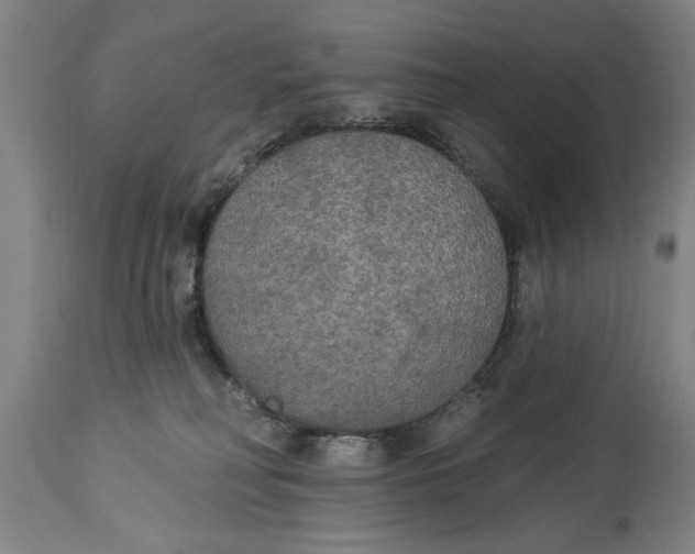 X0000114550230200911091203