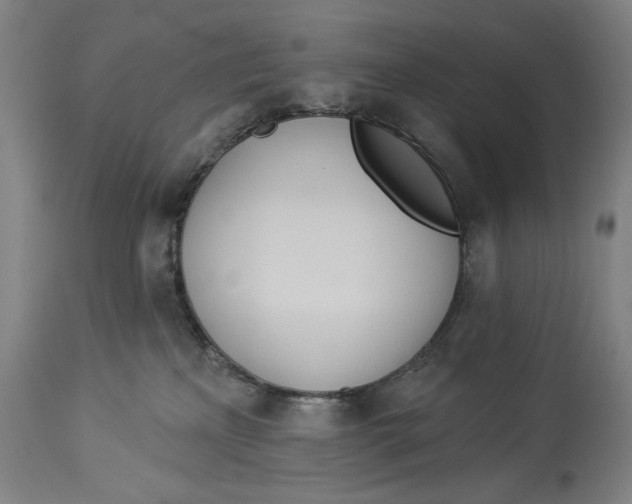 X0000114550233200911091203