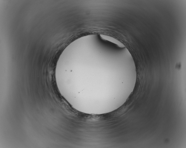 X0000114550235200911091203
