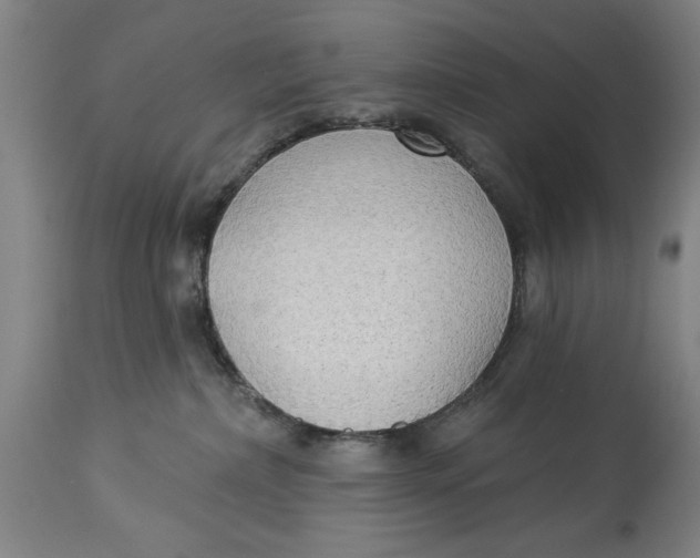 X0000114550236200911091203