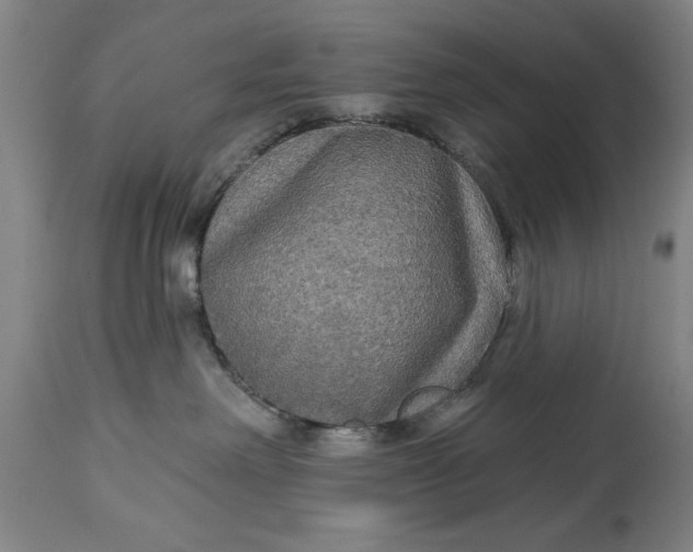 X0000114550238200911091203