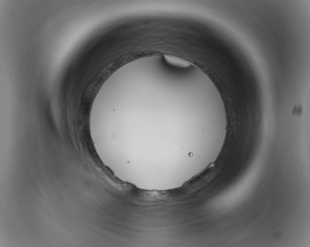 X0000114550239200911091203