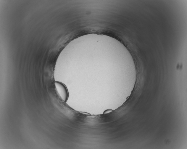 X0000114550240200911091203