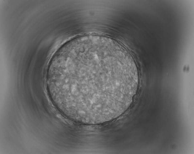 X0000114550241200911091202