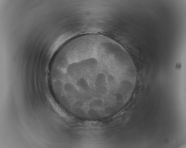 X0000114550242200911091202