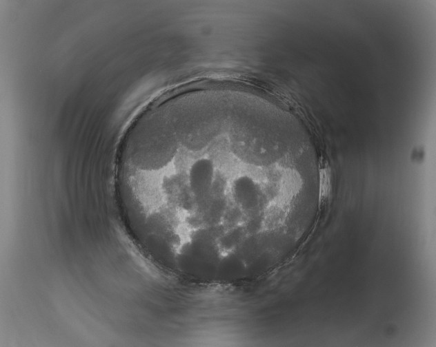 X0000114550243200911091202