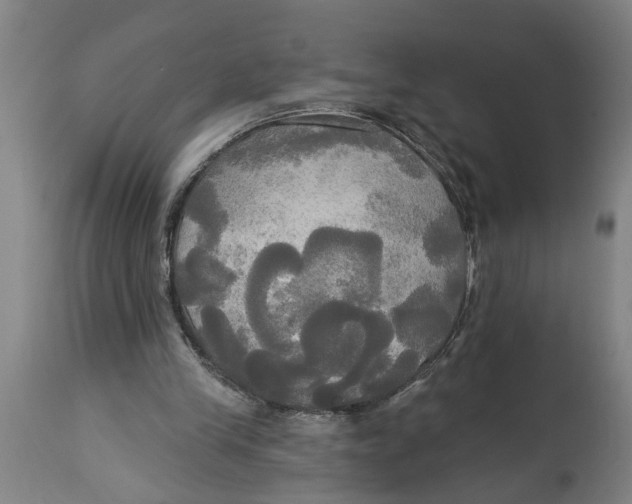 X0000114550245200911091202