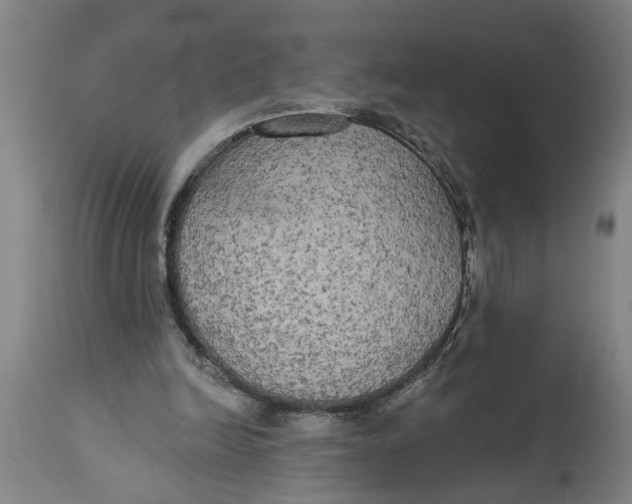 X0000114550246200911091202