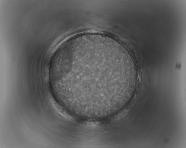 X0000114550247200911091202