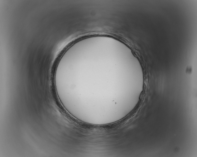 X0000114550248200911091202
