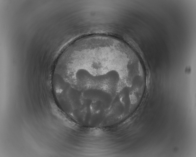X0000114550249200911091202
