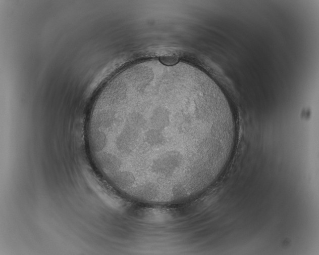 X0000114550250200911091202