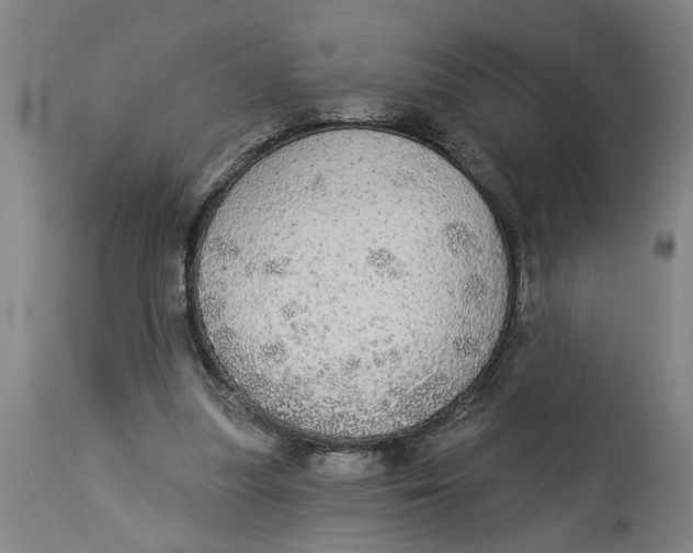 X0000114550251200911091202