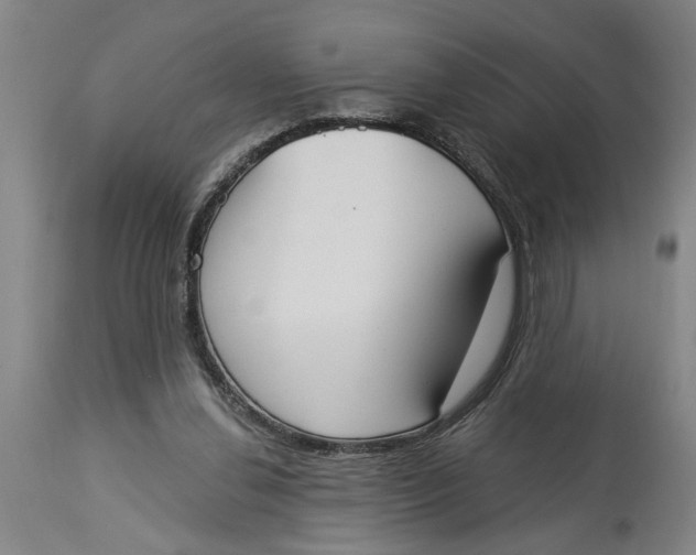 X0000114550252200911091202