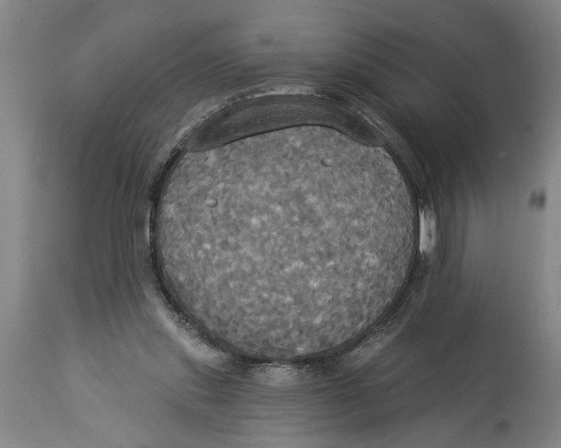 X0000114550253200911091202
