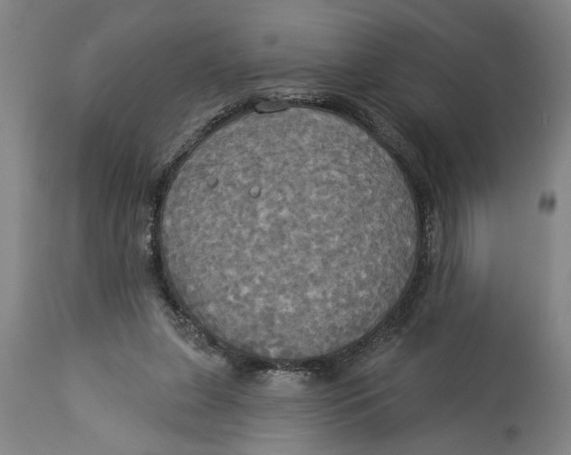 X0000114550255200911091202