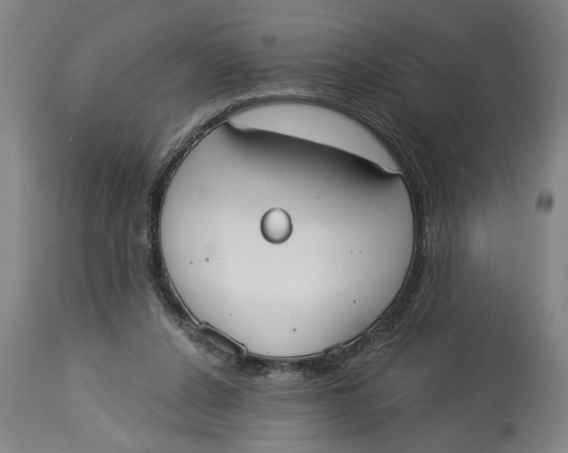 X0000114550256200911091202