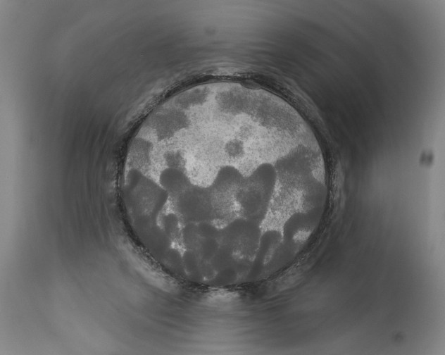 X0000114550257200911091202