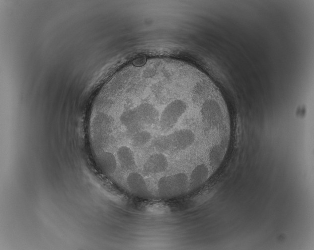 X0000114550258200911091202