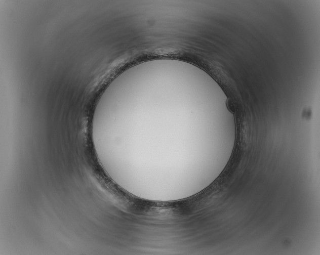 X0000114550260200911091202
