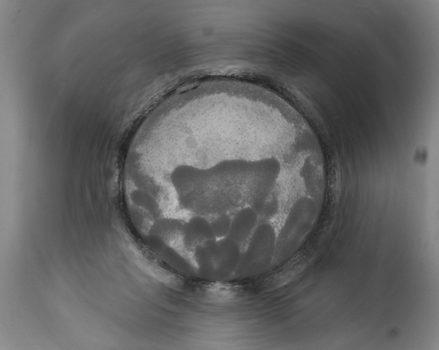 X0000114550261200911091202
