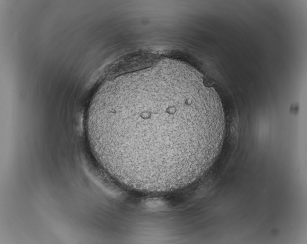 X0000114550262200911091202