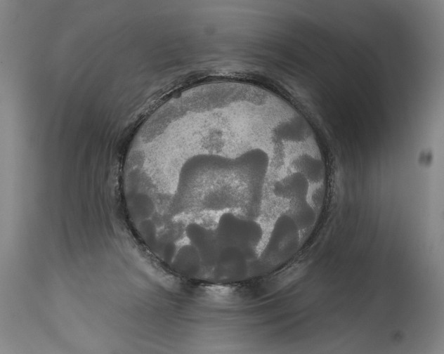 X0000114550265200911091202