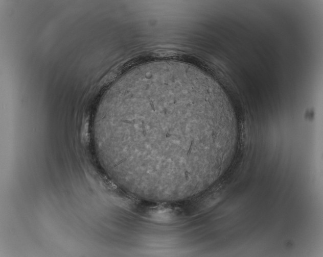 X0000114550267200911091202