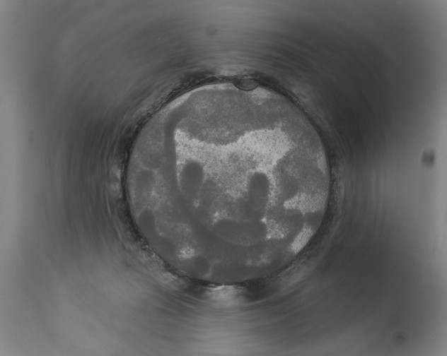 X0000114550269200911091202