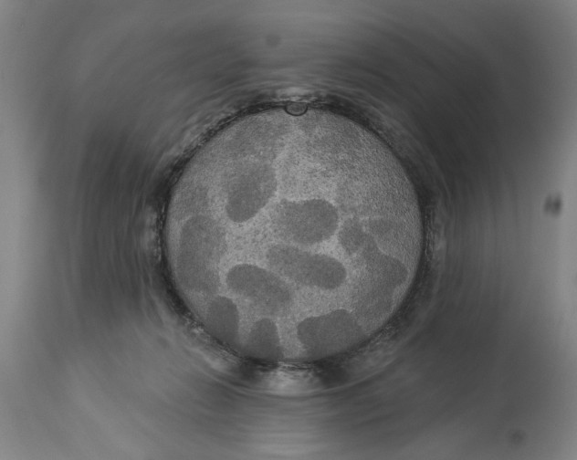 X0000114550270200911091202