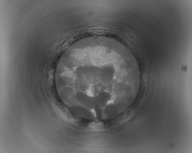 X0000114550271200911091202