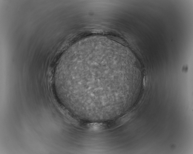X0000114550273200911091202